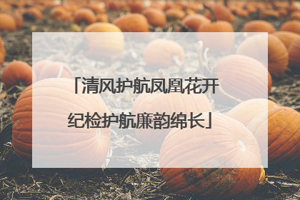 清风护航凤凰花开 纪检护航廉韵绵长