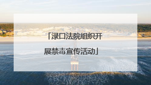 渌口法院组织开展禁毒宣传活动
