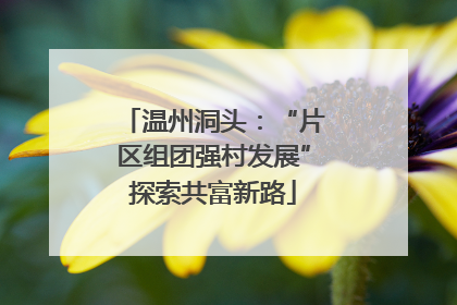 温州洞头：“片区组团强村发展”探索共富新路