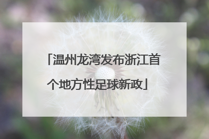 温州龙湾发布浙江首个地方性足球新政