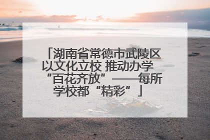 湖南省常德市武陵区以文化立校 推动办学“百花齐放”——每所学校都“精彩”