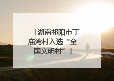 湖南祁阳市丁庙湾村入选“全国文明村”
