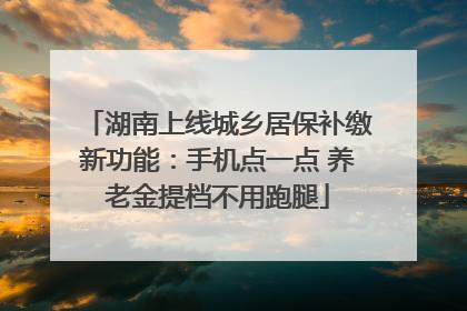 湖南上线城乡居保补缴新功能：手机点一点 养老金提档不用跑腿