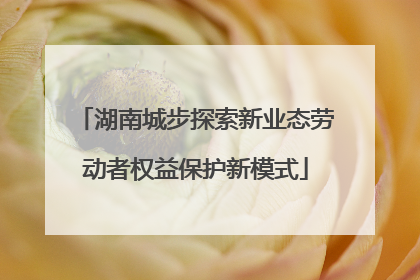 湖南城步探索新业态劳动者权益保护新模式