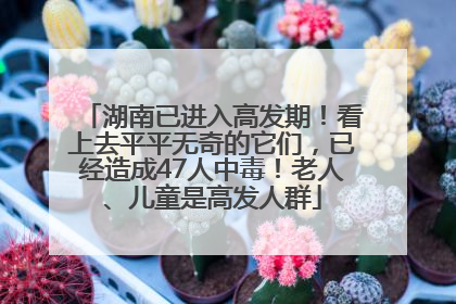湖南已进入高发期！看上去平平无奇的它们，已经造成47人中毒！老人、儿童是高发人群