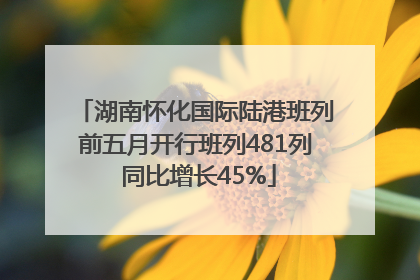 湖南怀化国际陆港班列前五月开行班列481列 同比增长45%
