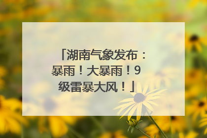 湖南气象发布：暴雨！大暴雨！9级雷暴大风！
