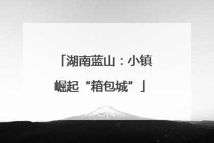 湖南蓝山：小镇崛起“箱包城”