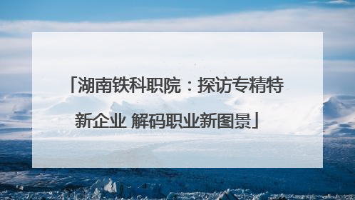 湖南铁科职院：探访专精特新企业 解码职业新图景