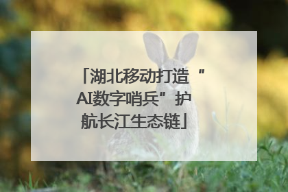 湖北移动打造“AI数字哨兵”护航长江生态链