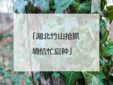 湖北竹山抢抓墒情忙夏种