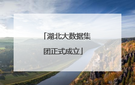 湖北大数据集团正式成立