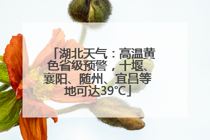 湖北天气：高温黄色省级预警，十堰、襄阳、随州、宜昌等地可达39℃
