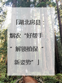 湖北房县：烟农“好帮手”解锁植保“新姿势”