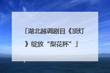 湖北越调剧目《顶灯》绽放“梨花杯”