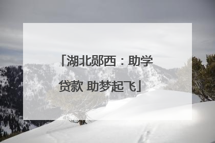 湖北郧西：助学贷款 助梦起飞