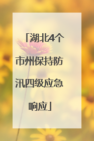 湖北4个市州保持防汛四级应急响应