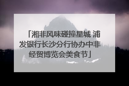 湘非风味碰撞星城 浦发银行长沙分行协办中非经贸博览会美食节