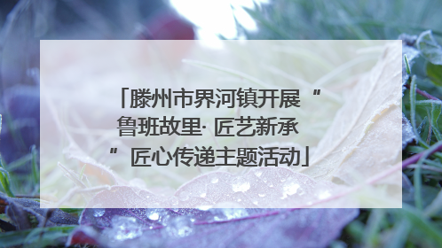 滕州市界河镇开展“鲁班故里· 匠艺新承”匠心传递主题活动