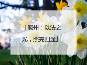 滕州：以法之光，照亮归途