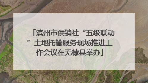 滨州市供销社“五级联动”土地托管服务现场推进工作会议在无棣县举办