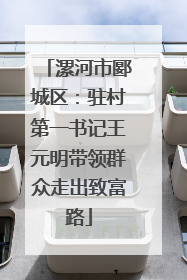 漯河市郾城区：驻村第一书记王元明带领群众走出致富路