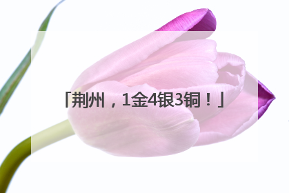 荆州，1金4银3铜！
