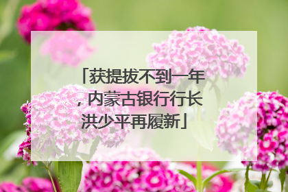 获提拔不到一年，内蒙古银行行长洪少平再履新