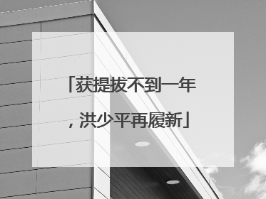 获提拔不到一年，洪少平再履新