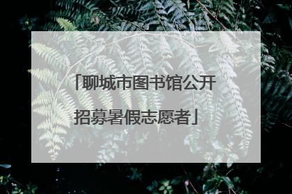 聊城市图书馆公开招募暑假志愿者