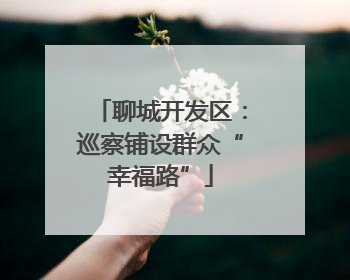 聊城开发区：巡察铺设群众“幸福路”