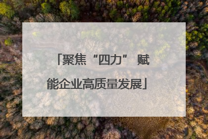 聚焦“四力” 赋能企业高质量发展
