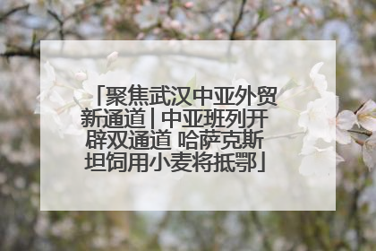 聚焦武汉中亚外贸新通道│中亚班列开辟双通道 哈萨克斯坦饲用小麦将抵鄂