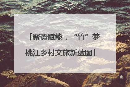 聚势赋能，“竹”梦桃江乡村文旅新蓝图