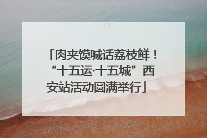 肉夹馍喊话荔枝鲜！“十五运·十五城”西安站活动圆满举行