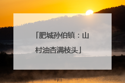 肥城孙伯镇：山村油杏满枝头