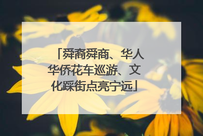 舜裔舜商、华人华侨花车巡游、文化踩街点亮宁远