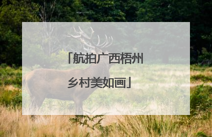 航拍广西梧州乡村美如画