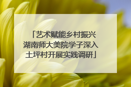 艺术赋能乡村振兴 湖南师大美院学子深入土坪村开展实践调研