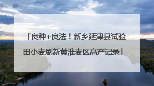 良种+良法！新乡延津县试验田小麦刷新黄淮麦区高产记录