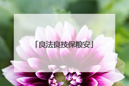 良法良技保粮安