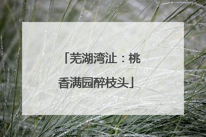 芜湖湾沚：桃香满园醉枝头