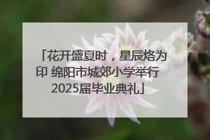 花开盛夏时，星辰烙为印 绵阳市城郊小学举行2025届毕业典礼
