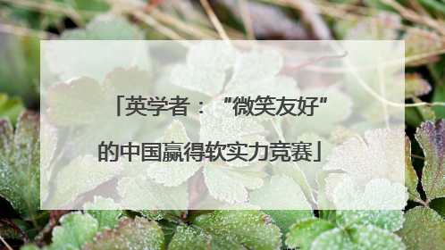 英学者：“微笑友好”的中国赢得软实力竞赛