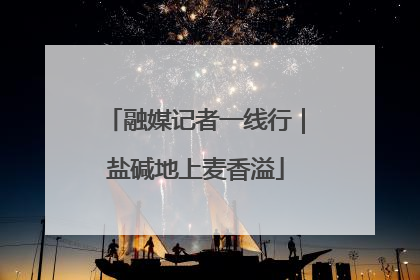 融媒记者一线行｜盐碱地上麦香溢