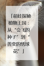 萌娃探秘植物王国：从“会飞的种子”到“善变的绣球花”