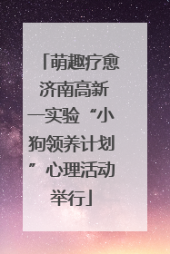 萌趣疗愈 济南高新一实验“小狗领养计划”心理活动举行