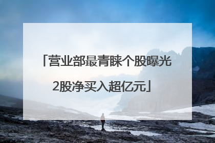 营业部最青睐个股曝光 2股净买入超亿元