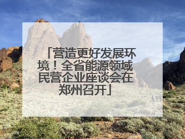 营造更好发展环境！全省能源领域民营企业座谈会在郑州召开
