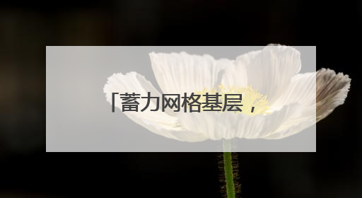蓄力网格基层，推进普陀智治